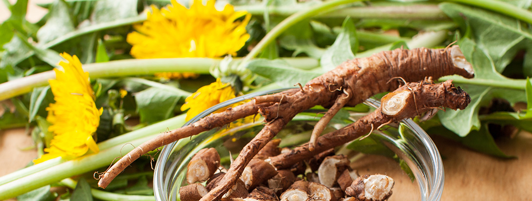 A glass bowl filled with whole and chopped dandelion roots, surrounded by fresh yellow dandelion flowers and green leaves.